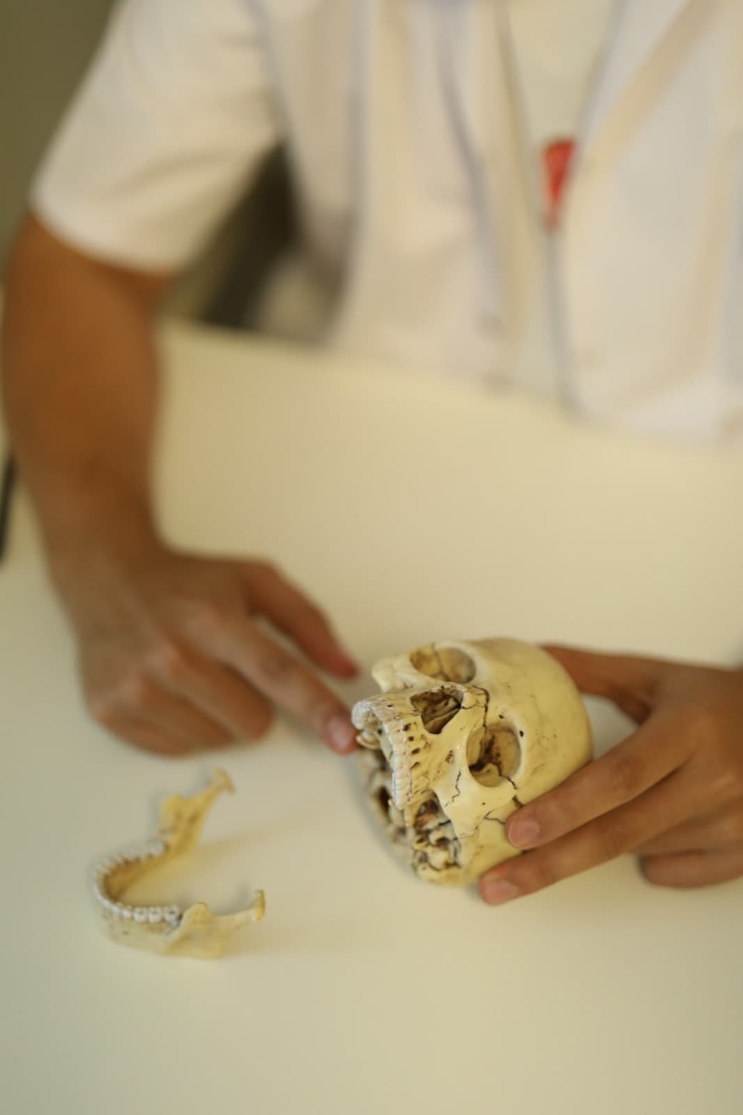TMJ – Çene Eklemi Rehabilitasyonu